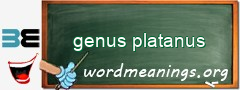 WordMeaning blackboard for genus platanus
